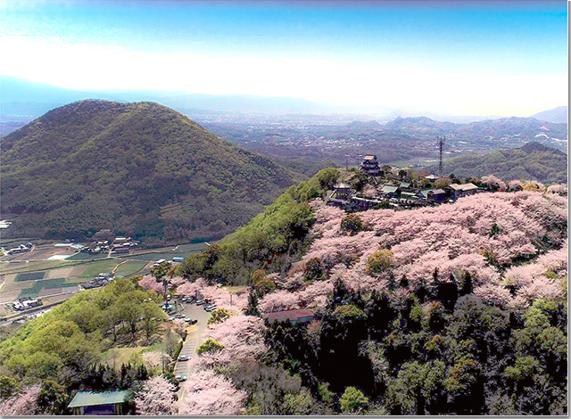 天空の桜城