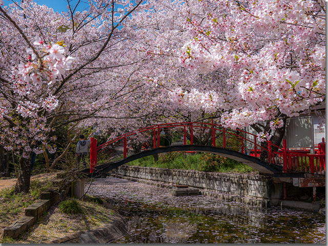 朝日山森林公園