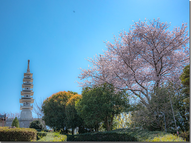 朝日山森林公園