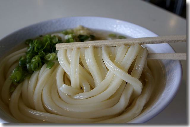 香川県知事賞のうどん@たんぽぽ