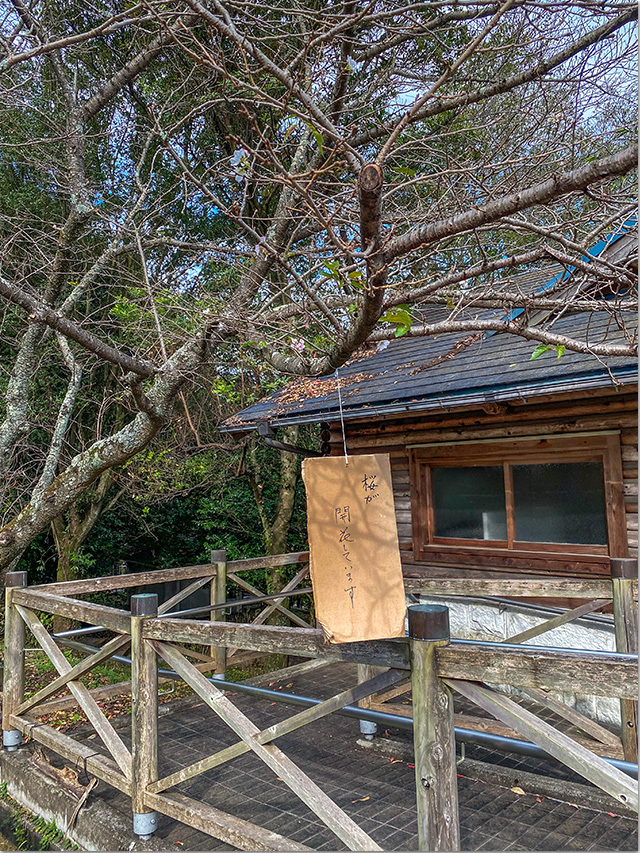 公渕公園