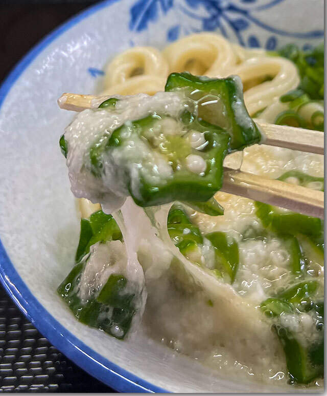 国産小麦100%うどん 手打ち麺や大島