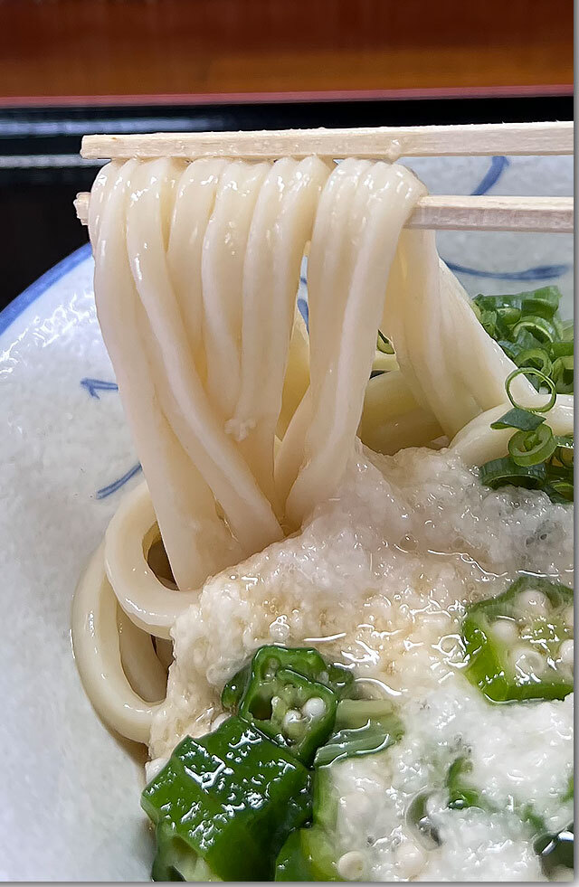 国産小麦100%うどん 手打ち麺や大島