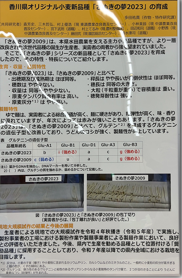 年明けうどん大会 2023
