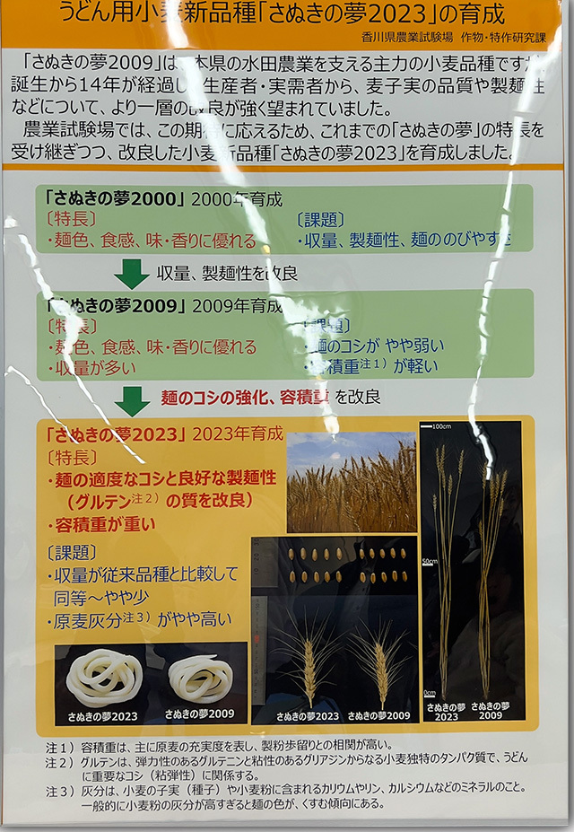 年明けうどん大会 2023