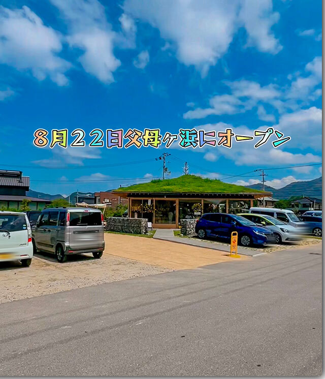 トランキーロタコス 父母ヶ浜店 オープン