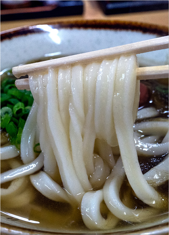 お遍路さんに人気のうどん屋 剛 今月末で閉店
