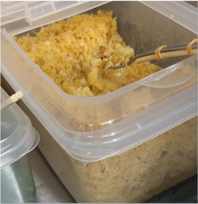 行列に並ばなくても 上田製麺所
