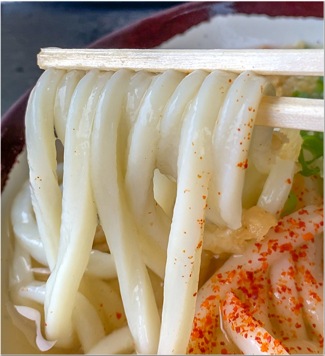 お勧めのうどん屋 10選 2021年度版 上田製麺所