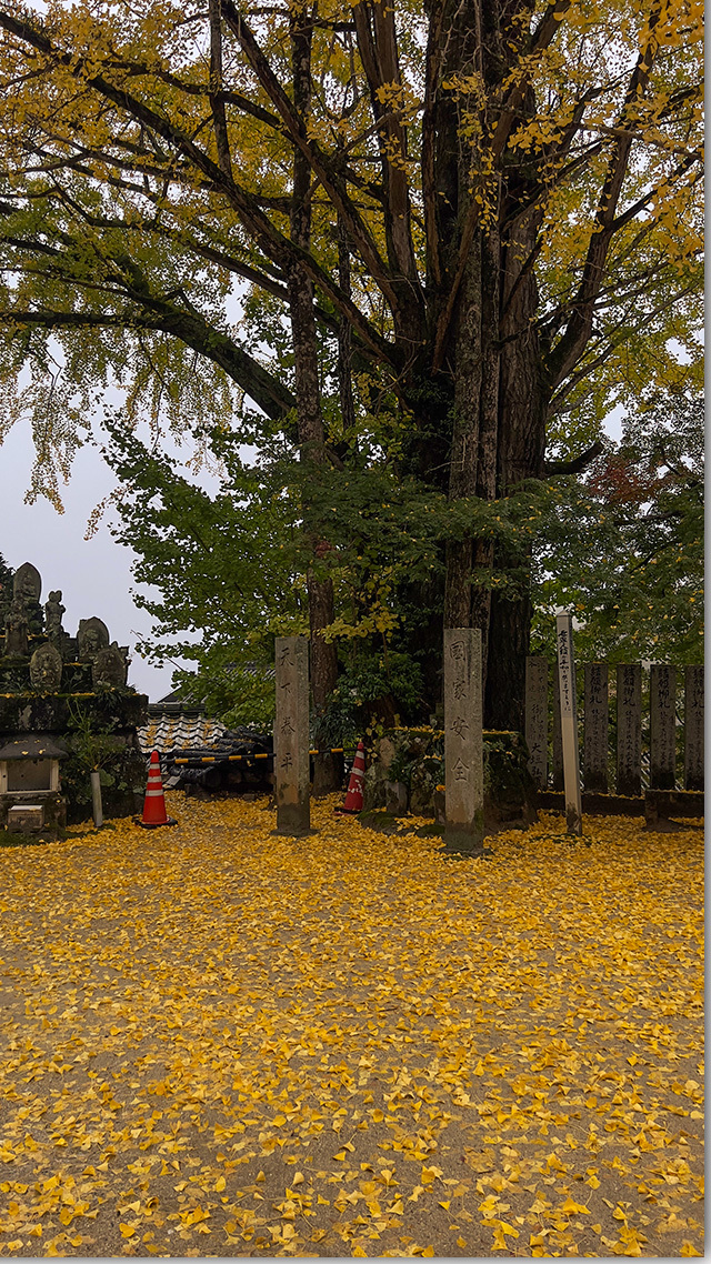 大窪寺の紅葉