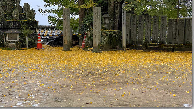 大窪寺の紅葉