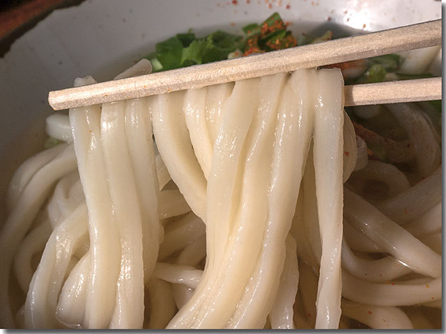 プレーンなかけ