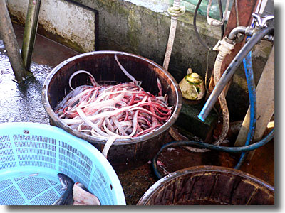 製麺所タイプのうなぎ屋