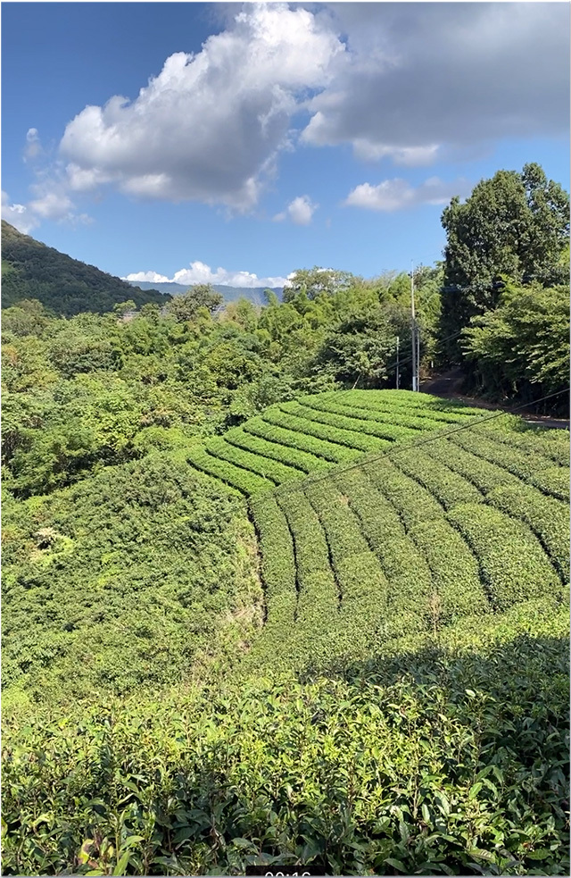 薬膳教室二ノ宮