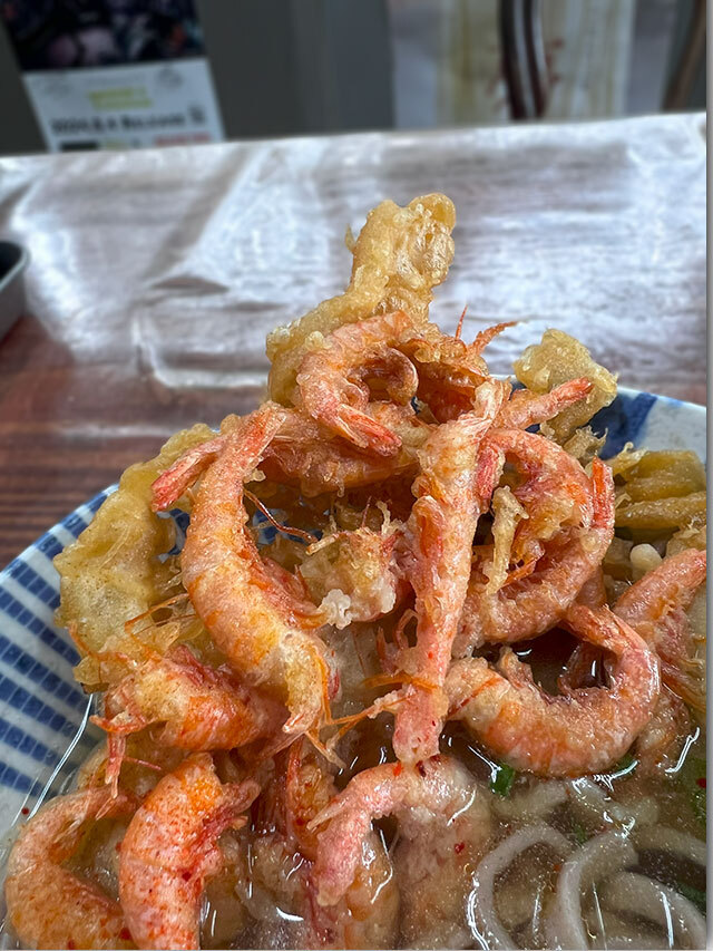 坂出 山下うどん