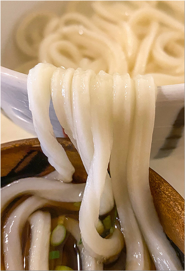 釜揚げうどん@義経