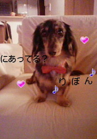 みーつけた