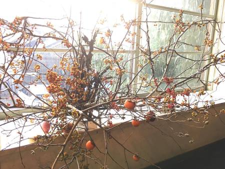公私ともにお世話になってる“花DADA”の花展にいってきました♡ 公私ともにお世話になってる“花DADA”の花展にいってきました♡