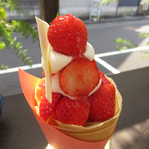 観光町の川東菓子店さん 観光町の川東菓子店さん
