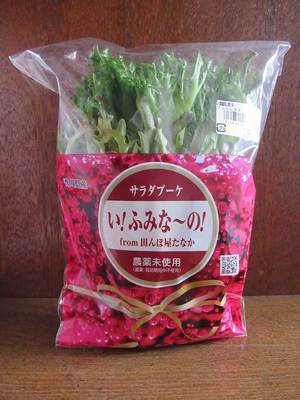 田んぼ屋たなかさんの野菜 田んぼ屋たなかさんの野菜