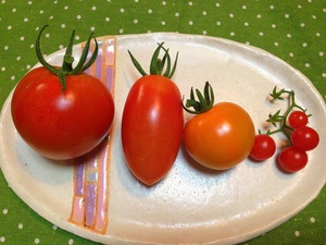 トマトの季節