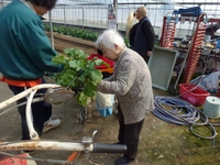 春はサロンパス(^^)てへっ