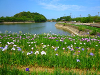 外出に行ってきました☆★
