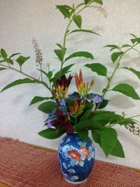椿温泉・・・お花に癒されております❤