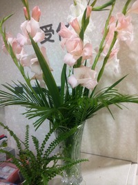 椿温泉・・・お花に癒されております❤