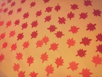 ★紅葉★ ★紅葉★