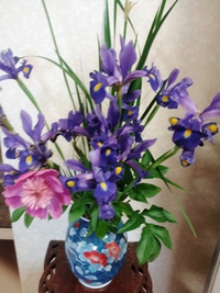♥お花でいっぱい♥ ♥お花でいっぱい♥