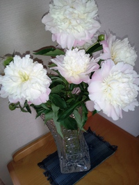♥お花でいっぱい♥ ♥お花でいっぱい♥
