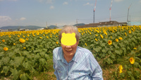 やっほーひまわり! やっほーひまわり!