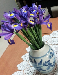 菖蒲(はなしょうぶ)?菖蒲(あやめ)?杜若(かきつばた)?