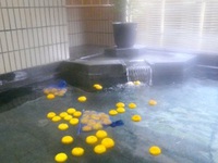 椿温泉で柚子湯 椿温泉で柚子湯