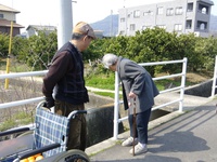 土筆みーつけた??