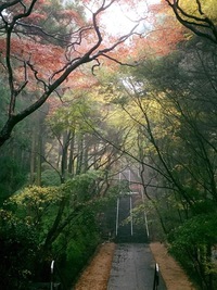 根香寺の紅葉 根香寺の紅葉