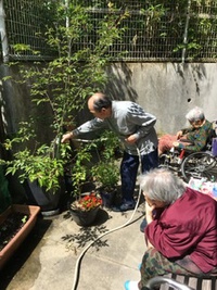 ここはハワイ〜⁈ ここはハワイ〜⁈