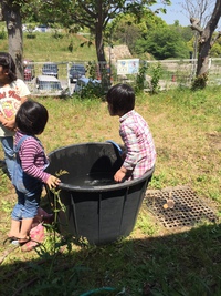 キッズボランティア’S大活躍 キッズボランティア’S大活躍