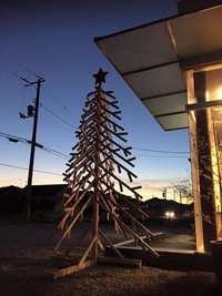 ★そろそろクリスマスツリー★ ★そろそろクリスマスツリー★