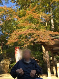 白峰寺へGO! 白峰寺へGO!