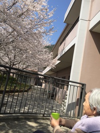 30年度始まり〜♪ 30年度始まり〜♪