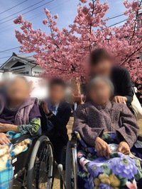 うたづの町家とおひなさま♪ うたづの町家とおひなさま♪