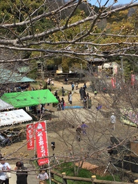 鬼無桃太郎祭り♪ 鬼無桃太郎祭り♪