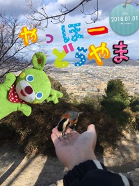 あけましておめでとうございます。 あけましておめでとうございます。
