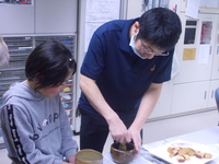 *お花見茶会*の予定が・・・ *お花見茶会*の予定が・・・