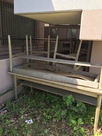ヤギさん準備着々と♪ ヤギさん準備着々と♪