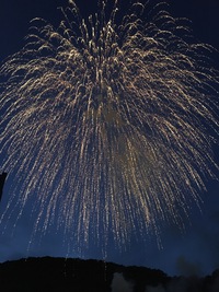 秋の花火〜大寿苑文化祭! 秋の花火〜大寿苑文化祭!
