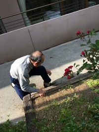 ここはハワイ〜⁈ ここはハワイ〜⁈