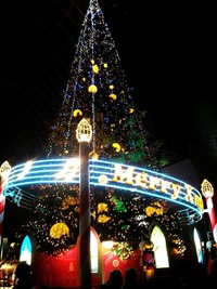 ★そろそろクリスマスツリー★ ★そろそろクリスマスツリー★
